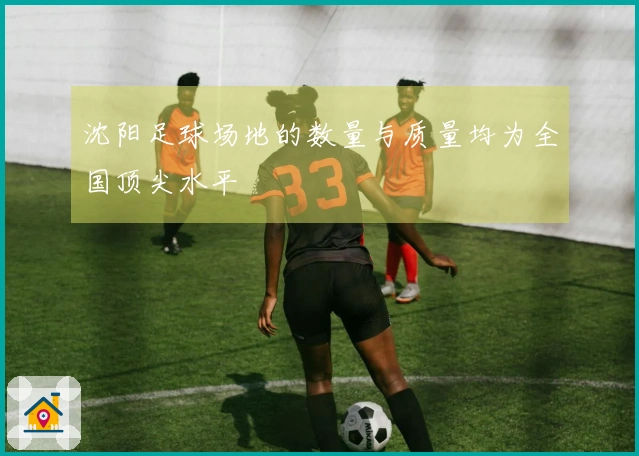 沈阳足球场地的数量与质量均为全国顶尖水平