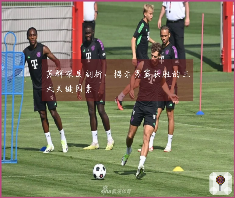 苏群深度剖析，揭示男篮获胜的三大关键因素